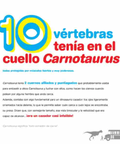 Dinosaurios del 1 al 10 - Leo Leo Libros