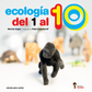 Ecología del 1 al 10
