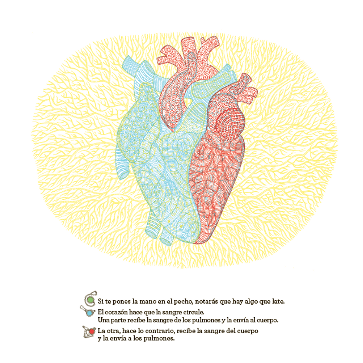 ¿Qué se esconde dentro del cuerpo humano?