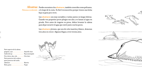 Conoce las aves tropicales - Leo Leo Libros