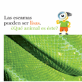 Escamas y más escamas - Leo Leo Libros