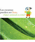 Escamas y más escamas - Leo Leo Libros