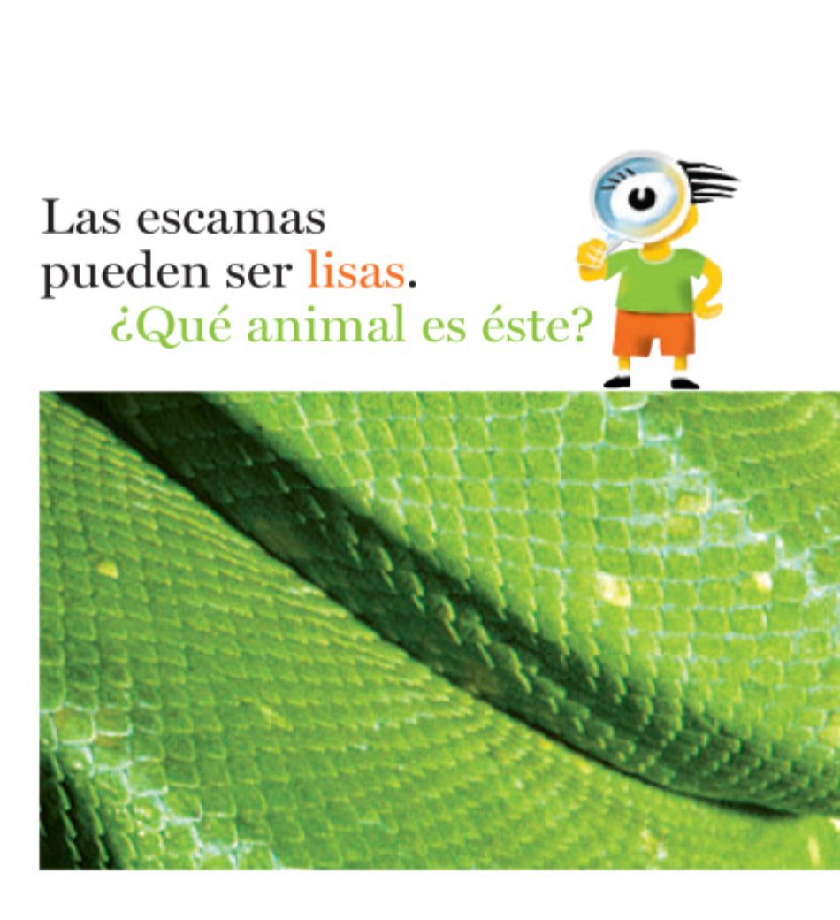 Escamas y más escamas