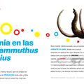 Animales extiguidos del 1 al 10 - Leo Leo Libros
