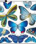 Curiosa Naturaleza - Leo Leo Libros