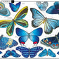 Curiosa Naturaleza