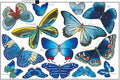Curiosa Naturaleza - Leo Leo Libros