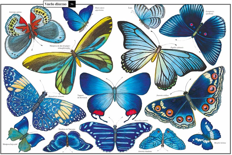 Curiosa Naturaleza