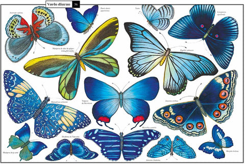 Curiosa Naturaleza - Leo Leo Libros