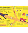 Insectopedia - Leo Leo Libros