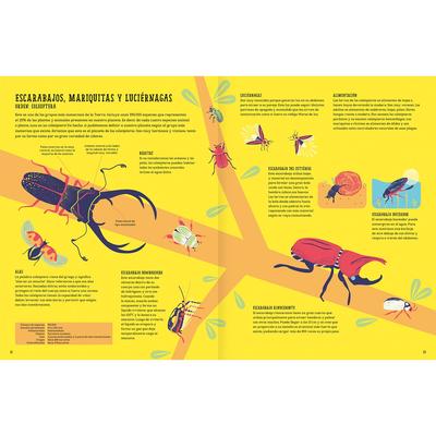 Insectopedia