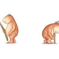 Chigüiro y el palo - Leo Leo Libros