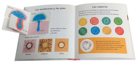 La seta - Leo Leo Libros