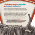 Tormentas y tornados para los más curiosos - Leo Leo Libros