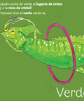 Mis colores - Leo Leo Libros