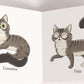 ¡Miau!