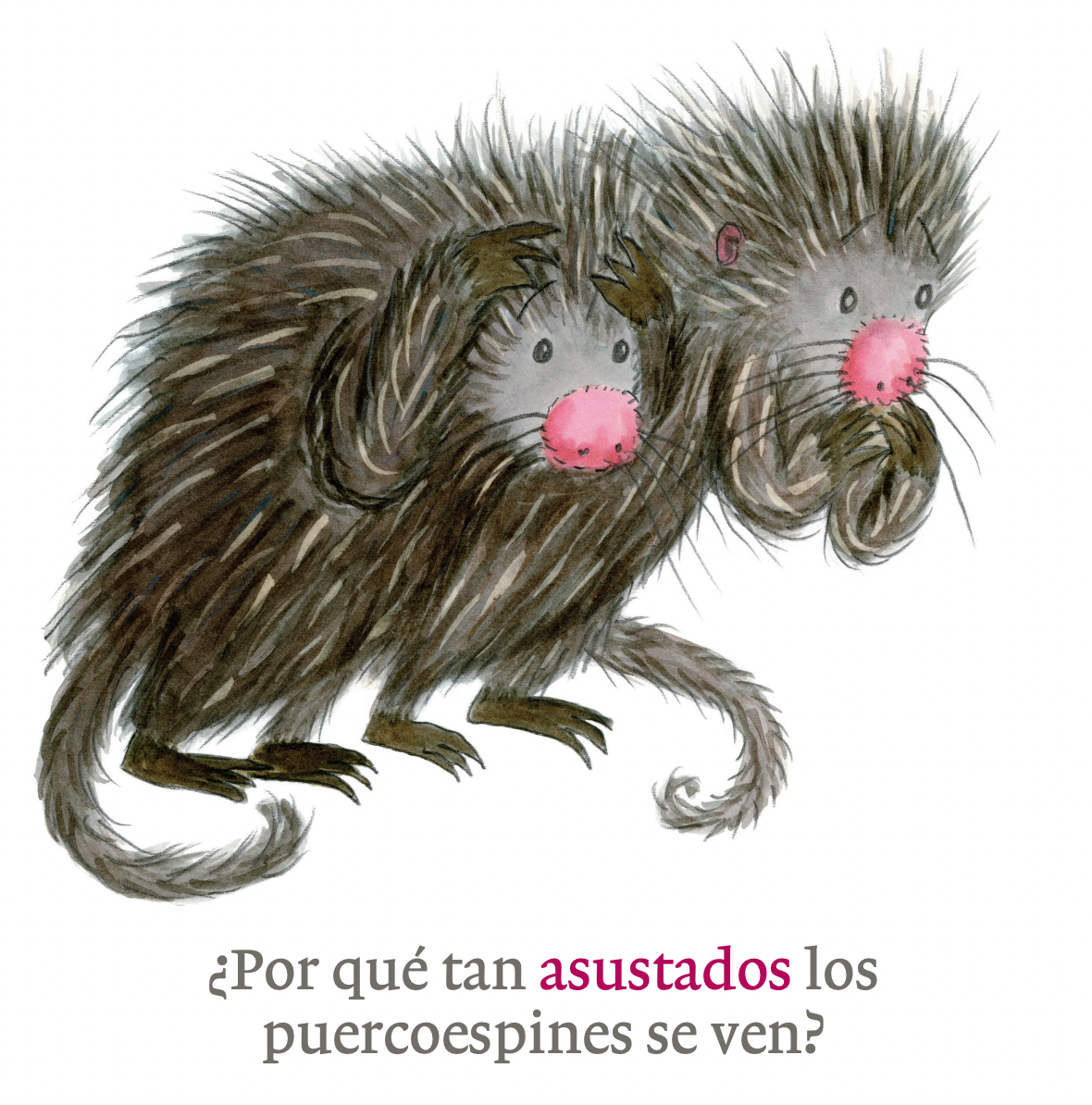 Mis opuestos