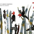 1, 2, 3, ¿cuántos ves? - Leo Leo Libros