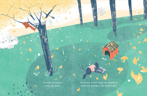 Somos igualitos - Leo Leo Libros