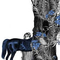 La mujer de la guarda - Leo Leo Libros