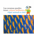 Escamas y más escamas - Leo Leo Libros