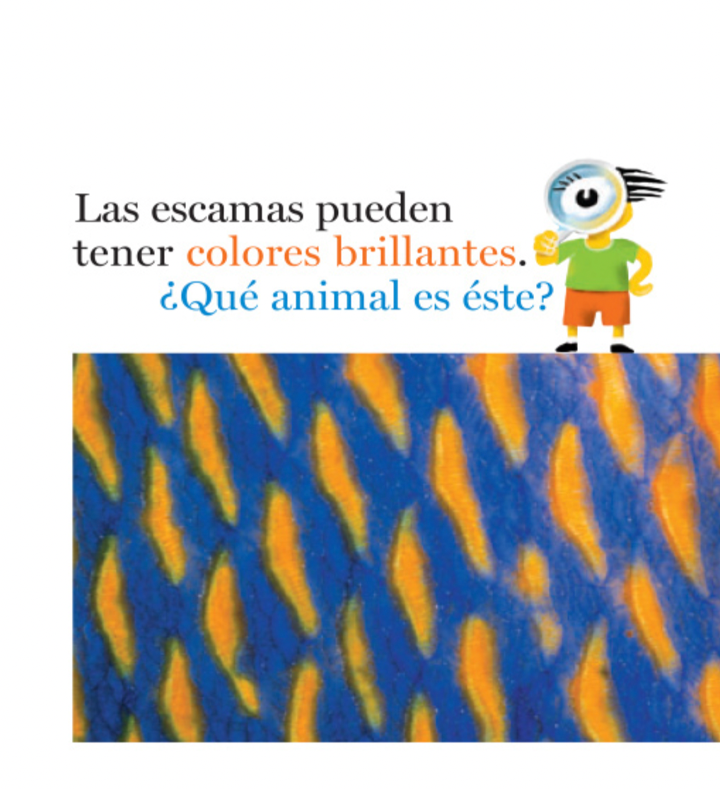 Escamas y más escamas