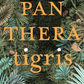 PANTHERA trigris