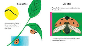 La mariquita - Leo Leo Libros