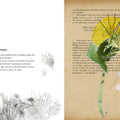 Vademécum de la Flora naturalis imaginaria - Leo Leo Libros