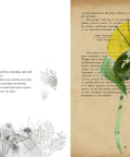 Vademécum de la Flora naturalis imaginaria - Leo Leo Libros
