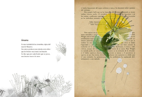 Vademécum de la Flora naturalis imaginaria - Leo Leo Libros