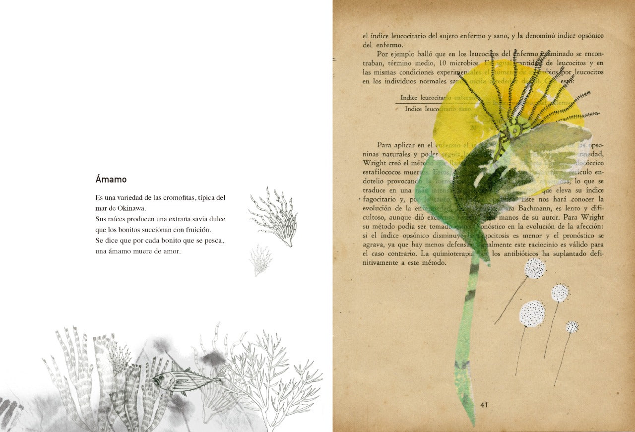 Vademécum de la Flora naturalis imaginaria