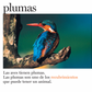 Plumas y más plumas