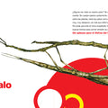 Bichos del 1 al 10 - Leo Leo Libros