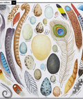 Curiosa Naturaleza - Leo Leo Libros