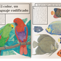 Color animal - Leo Leo Libros