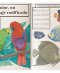 Color animal - Leo Leo Libros