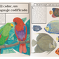 Color animal