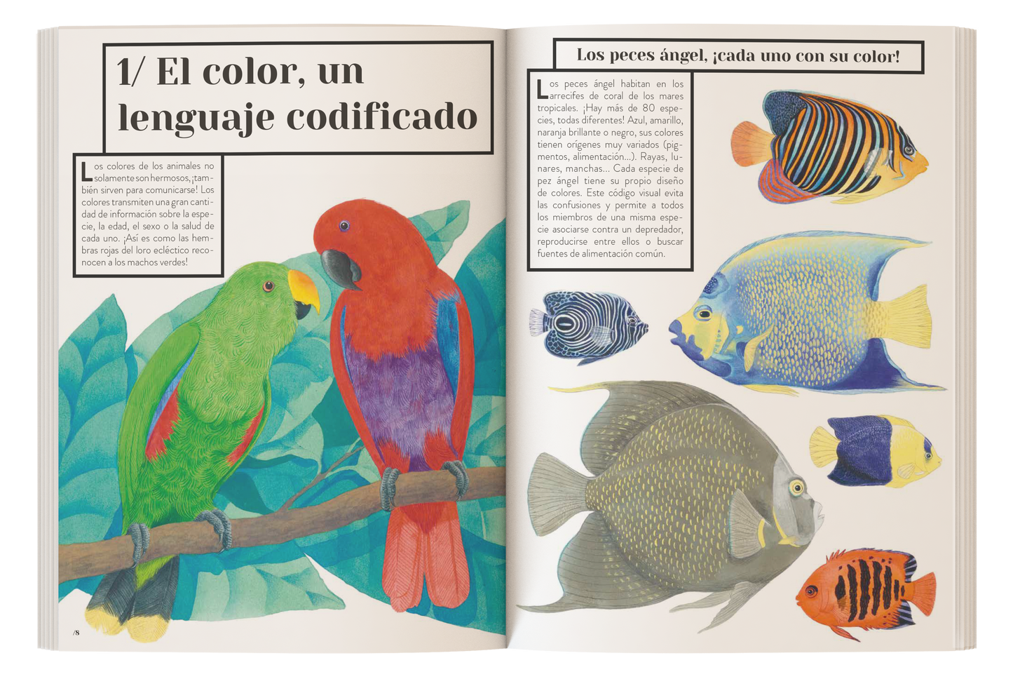 Color animal