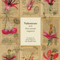 Vademécum de la Flora naturalis imaginaria - Leo Leo Libros