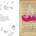 Vademécum de la Flora naturalis imaginaria - Leo Leo Libros