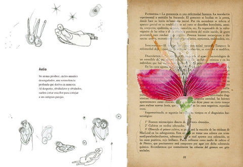 Vademécum de la Flora naturalis imaginaria - Leo Leo Libros
