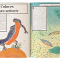 Color animal - Leo Leo Libros