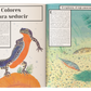 Color animal