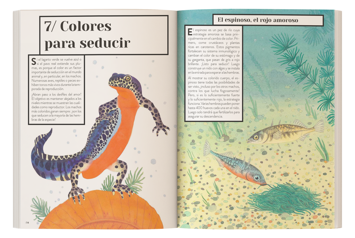 Color animal