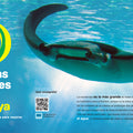 Habitantes del mar del 1 al 10 - Leo Leo Libros