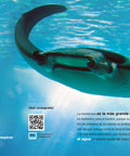 Habitantes del mar del 1 al 10 - Leo Leo Libros