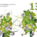 1, 2, 3, ¿cuántos ves? - Leo Leo Libros