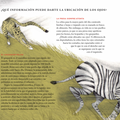¡Qué ojos tan curiosos tienes! - Leo Leo Libros