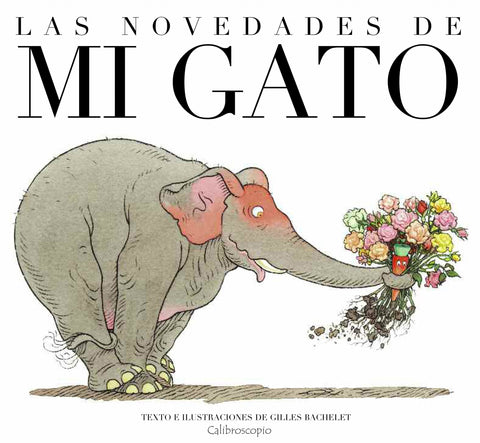 Las novedades de mi gato - Leo Leo Libros